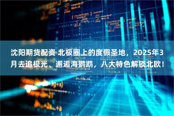 沈阳期货配资 北极圈上的度假圣地，2025年3月去追极光、邂逅海鹦鹉，八大特色解锁北欧！