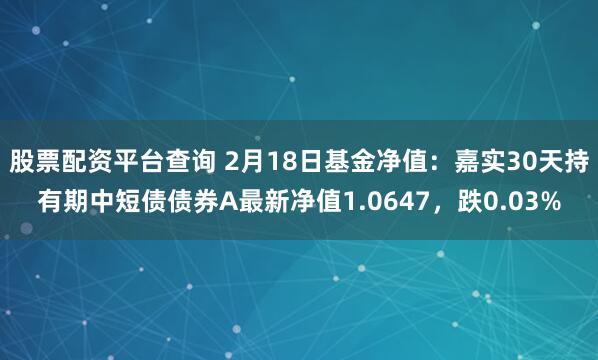 股票配资平台查询 2月18日基金净值：嘉实30天持有期中短债债券A最新净值1.0647，跌0.03%