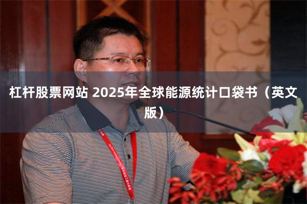 杠杆股票网站 2025年全球能源统计口袋书（英文版）