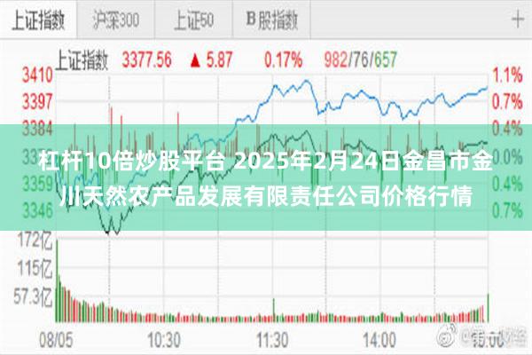 杠杆10倍炒股平台 2025年2月24日金昌市金川天然农产品发展有限责任公司价格行情