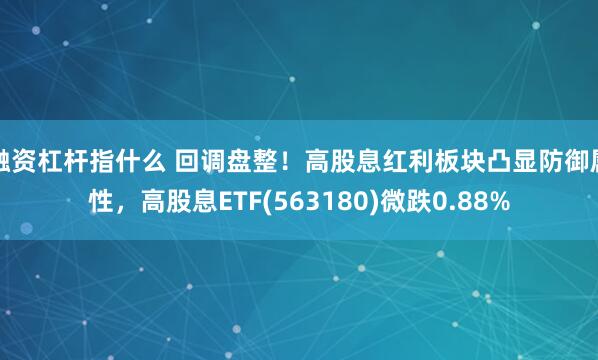 融资杠杆指什么 回调盘整！高股息红利板块凸显防御属性，高股息ETF(563180)微跌0.88%