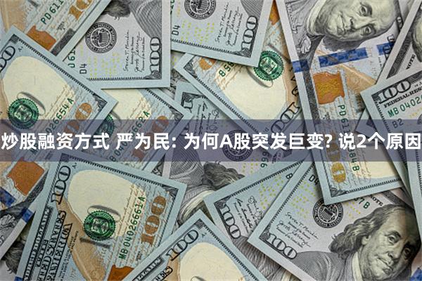 炒股融资方式 严为民: 为何A股突发巨变? 说2个原因